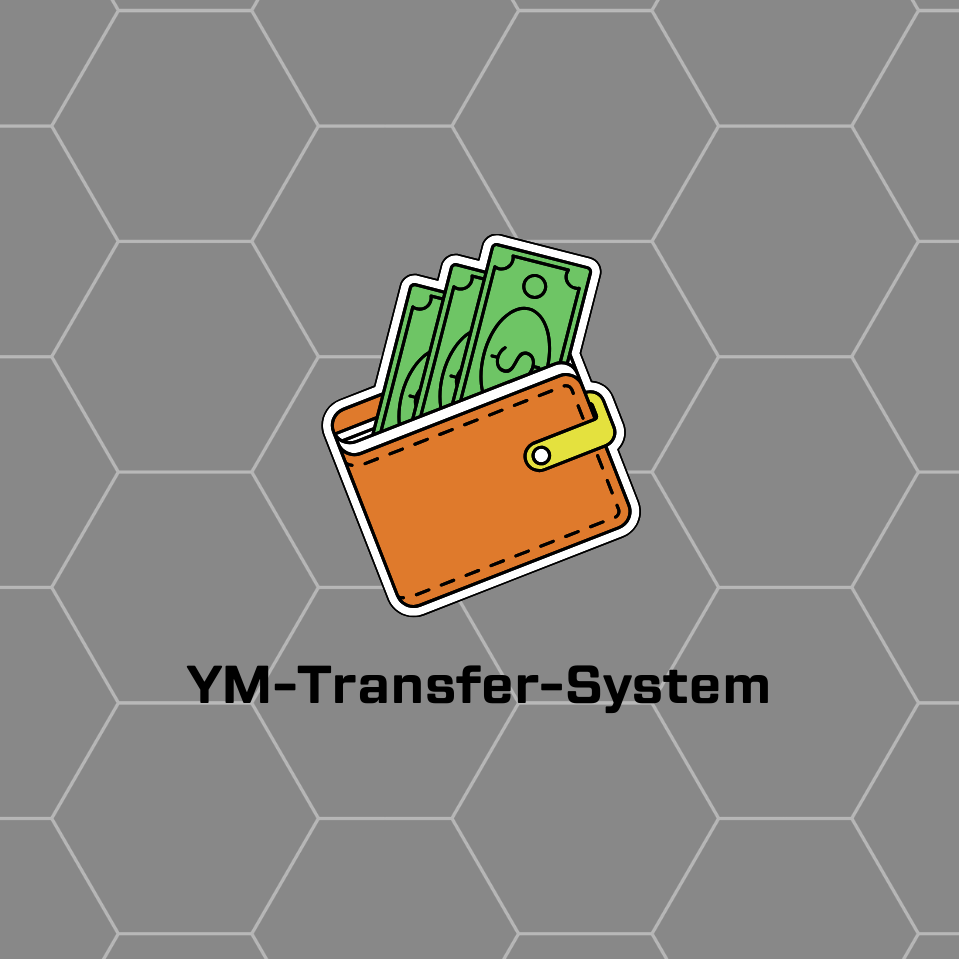 YM-Transfer-System